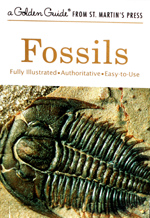 CLICK HERE to learn more about 
	Golden Guides  Fossils